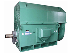 贺州YKK系列高压电机一年质保
